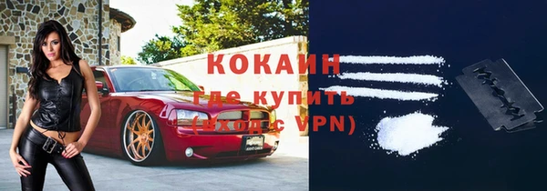 твердый Богородск