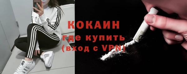 твердый Богородск