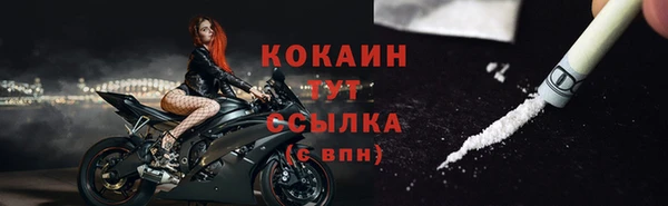 твердый Богородск
