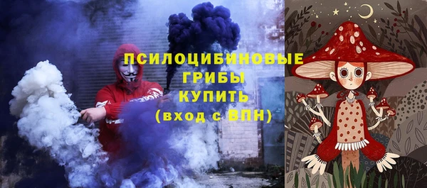 твердый Богородск