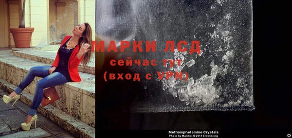 сатива Белокуриха
