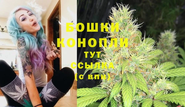 сатива Белокуриха