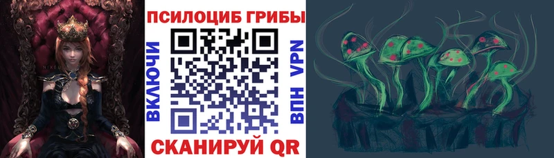 Псилоцибиновые грибы мицелий Катайск